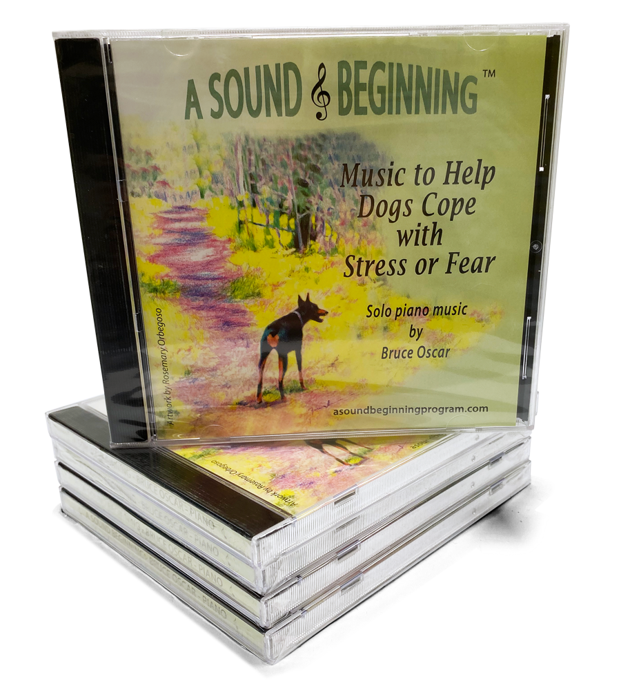 A Sound Beginning Book & CD