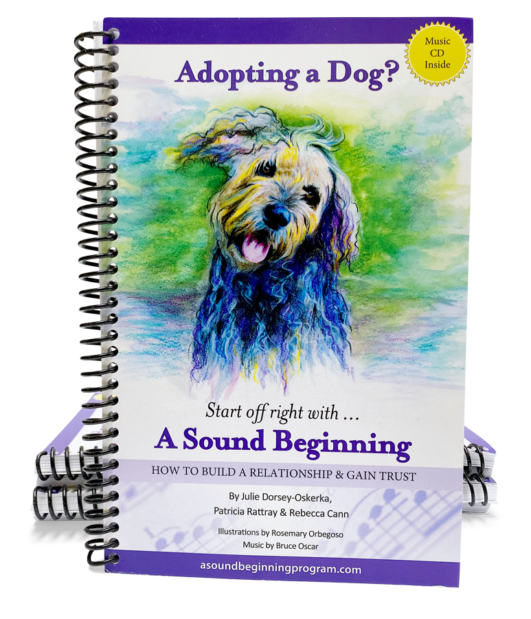 A Sound Beginning Book & CD